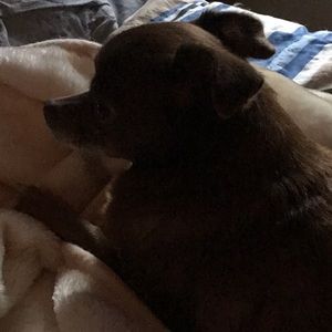 Meet your Posher, Maria